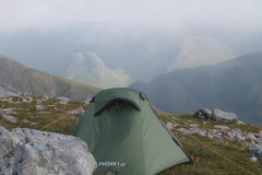 Home for the Night